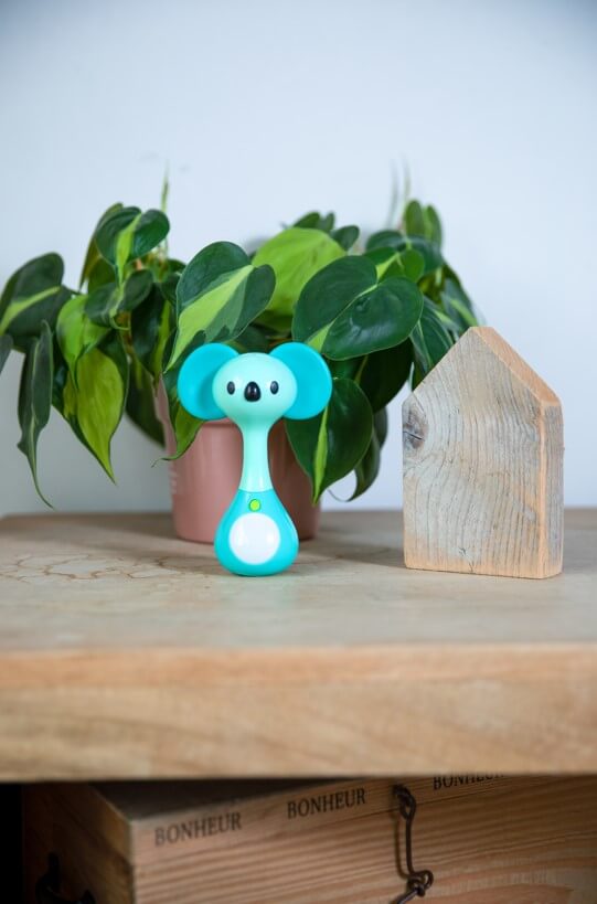 Baby Rammelaars | Baby Rammel Speelgoed | Lotjez