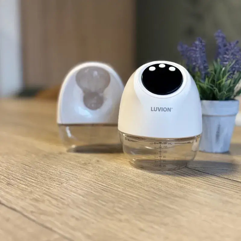 Luvion Vienna borstkolf bij Lotjez op een plank