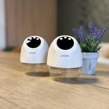 Luvion Vienna borstkolf bij Lotjez op een plank